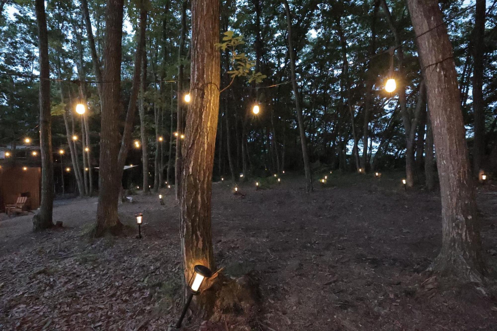 Sauna Forest Cabin 軽井沢 御代田　Mori-Asobi Oiwake Екстериор снимка